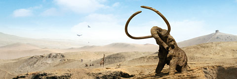 Mammoth. 9gods.