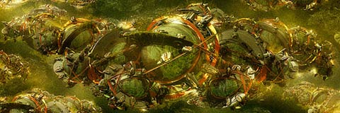 Tomasz OpasiÅ„ski. Wywiad.